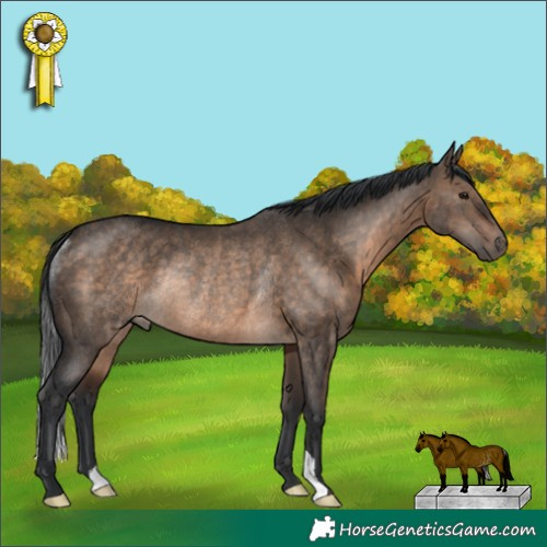 Horse Color:Brown Dun Rabicano 