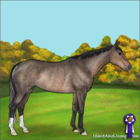 Horse Color:Brown Dun Rabicano 