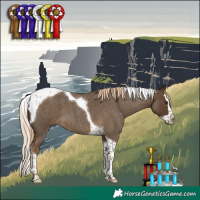 Horse Color:Chocolate Palomino Roan Splash Tobiano