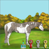 Horse Color:Chocolate Palomino Roan Splash Tobiano 