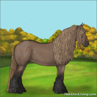 Horse Color:Liver Red Dun Rabicano 