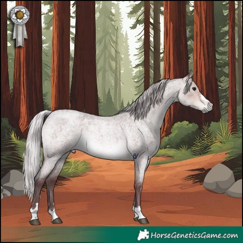 Horse Color:Platinum Chocolate Silver Buckskin Roan 