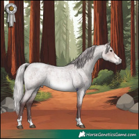 Horse Color:Platinum Chocolate Silver Buckskin Roan