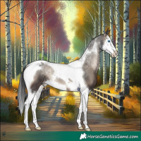 Horse Color:Blue Onyx Splash Tobiano 