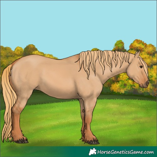 Horse Color:Red Dun