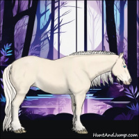 Horse Color:Cremello 