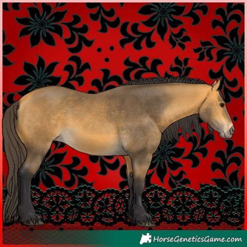 Horse Color:Buckskin 