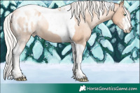 Horse Color:White Spotted Chocolate Silver Sable Champagne Pearl Tobiano Appaloosa Rabicano 