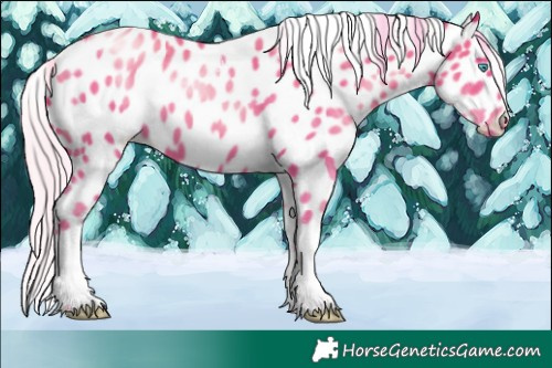 Horse Color:Chocolate Silver Sable Champagne Pearl Sabino Tobiano Leopard Rabicano