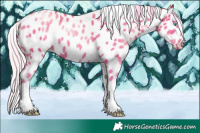 Horse Color:Chocolate Silver Sable Champagne Pearl Sabino Tobiano Leopard Rabicano 