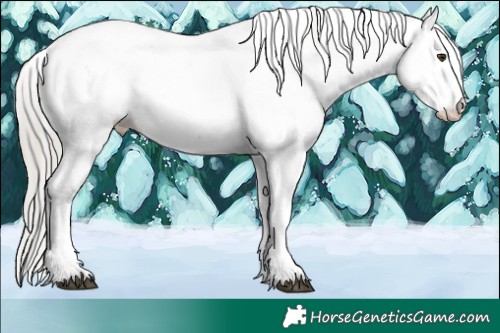 Horse Color:Silver Brown Sabino Near Leopard Rabicano