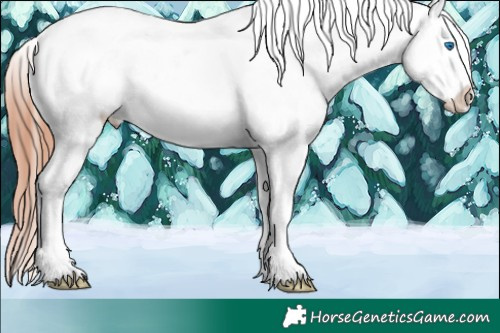 Horse Color:White Spotted Grullo Sabino Splash Snowcap 