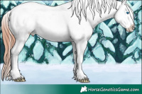 Horse Color:White Spotted Grullo Sabino Splash Snowcap 