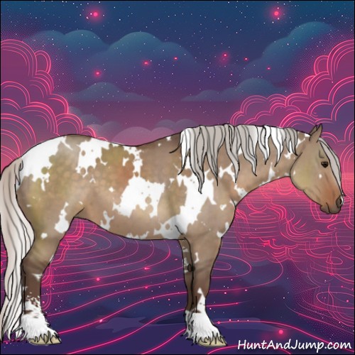 Horse Color:White Spotted Silver Grullo Sabino 
