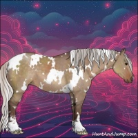 Horse Color:White Spotted Silver Grullo Sabino 
