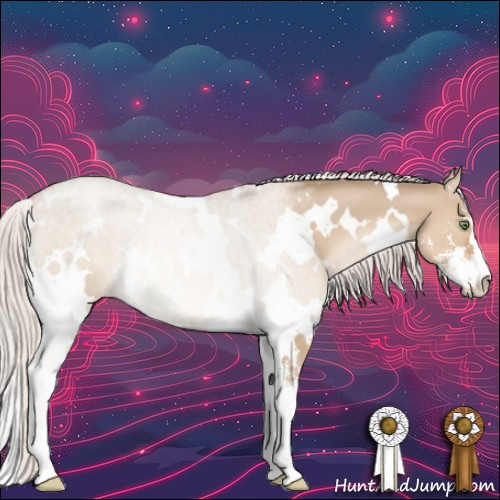 Horse Color:White Spotted Silver Brown Pearl Dun Sabino 