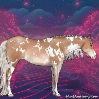 Horse Color:White Spotted Silver Black Pearl Sabino 