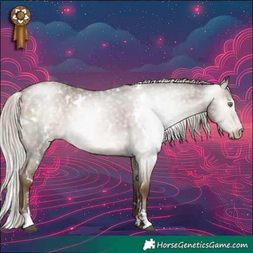 Horse Color:Gray White Spotted Silver Brown Pearl Dun Sabino 