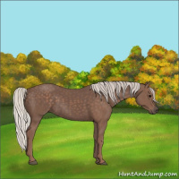 Horse Color:Silver Black 