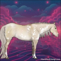 Horse Color:White Spotted Silver Grullo Pearl Sabino 