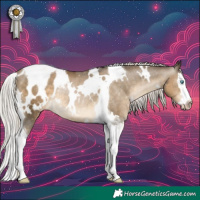 Horse Color:Gray White Spotted Silver Smoky Black Pearl Splash Tobiano Appaloosa Rabicano