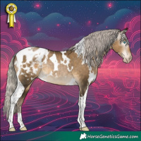 Horse Color:Gray White Spotted Silver Smoky Black Pearl Tobiano Blanket Rabicano 