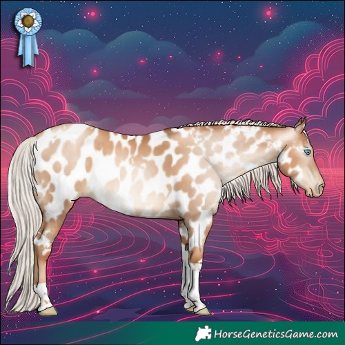 Horse Color:Gray White Spotted Silver Sable Champagne Pearl Tobiano Near Leopard Rabicano