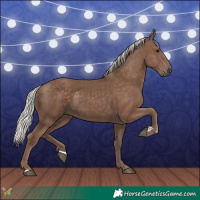 Horse Color:Silver Black 