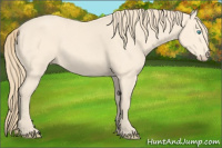 Horse Color:Perlino 
