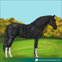 Horse Color:Midnight Black Ice 