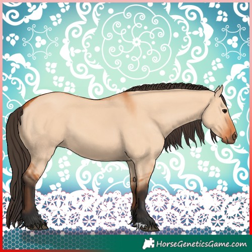 Horse Color:Bay Dun 