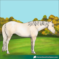 Horse Color:Gold Cream Champagne Pearl 