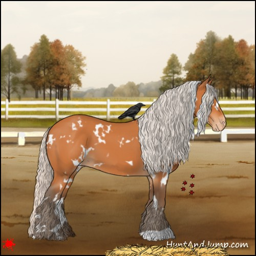 Horse Color:White Spotted Silver Bay Appaloosa 