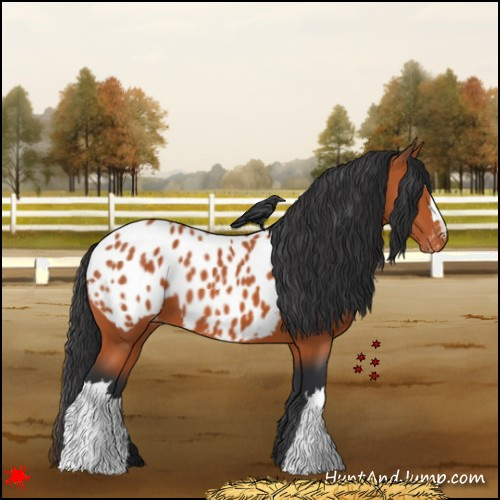 Horse Color:Bay Near Leopard 