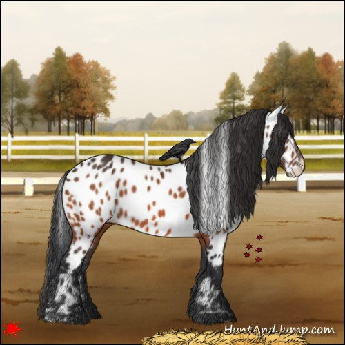 Horse Color:Bay Near Leopard 
