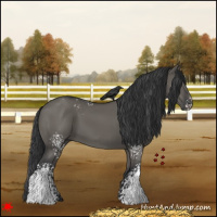 Horse Color:White Spotted Grullo