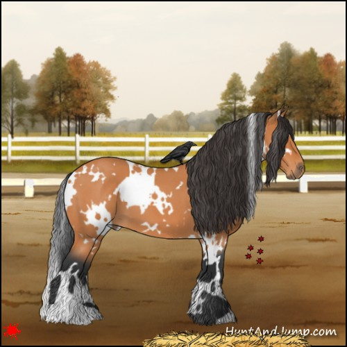 Horse Color:White Spotted Bay Roan 