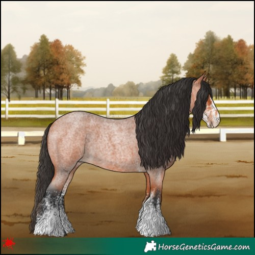 Horse Color:White Spotted Bay Roan 