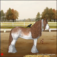 Horse Color:White Spotted Chestnut Tobiano Varnish