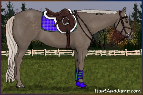Horse Color:Silver Black