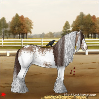 Horse Color:White Spotted Liver Red Dun Tobiano 