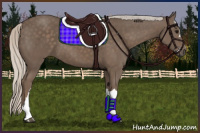 Horse Color:Silver Black 