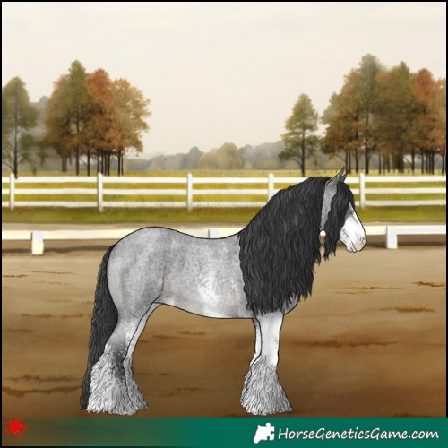 Horse Color:White Spotted Blue Roan 