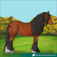 Horse Color:Bay Tobiano Rabicano 