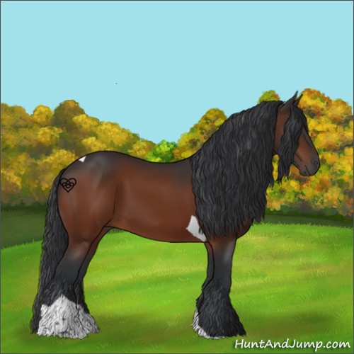 Horse Color:Brown Tobiano