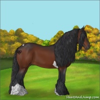 Horse Color:Brown Tobiano 