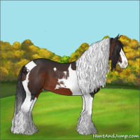 Horse Color:Brown Splash Tobiano 