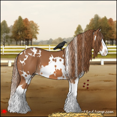 Horse Color:White Spotted Chestnut Splash