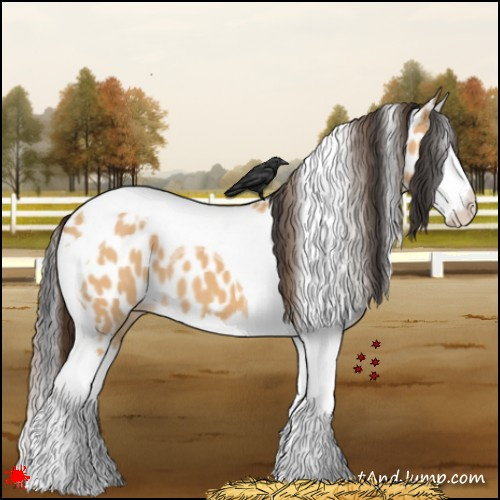 Horse Color:Bay Dun Splash Tobiano Leopard