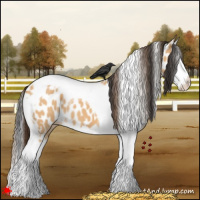 Horse Color:Bay Dun Splash Tobiano Leopard 